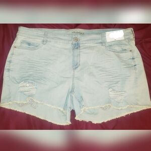 Arizona jr plus 3x lace shorts 2x 20 22